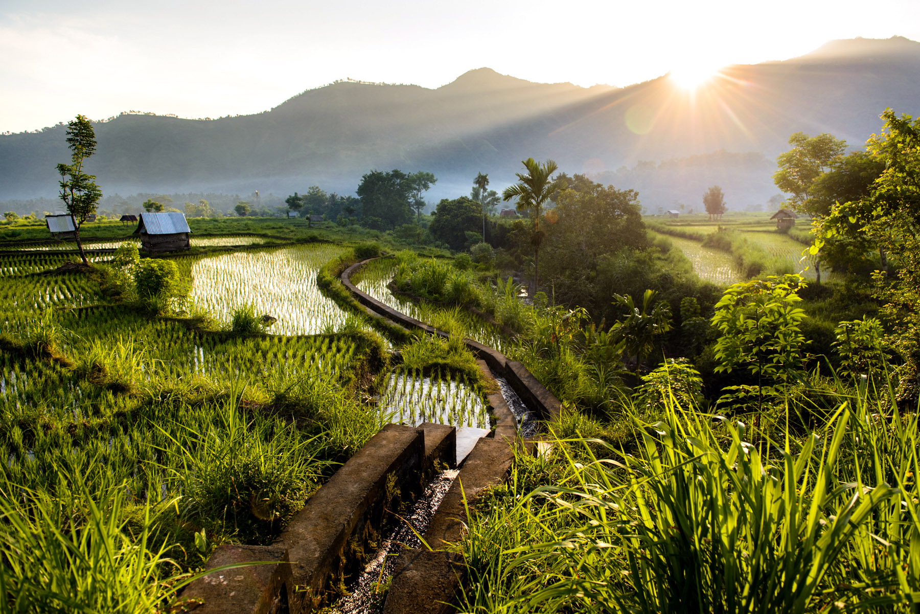 2014_Port_L35_201401_bali_09356