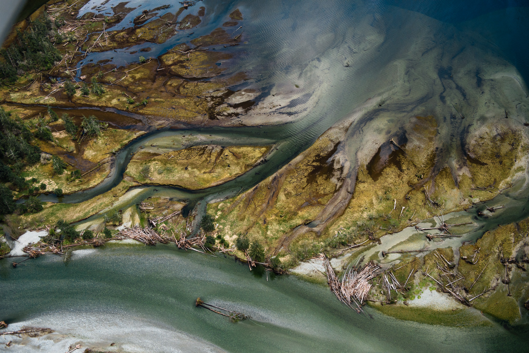 201504_island_0880-10