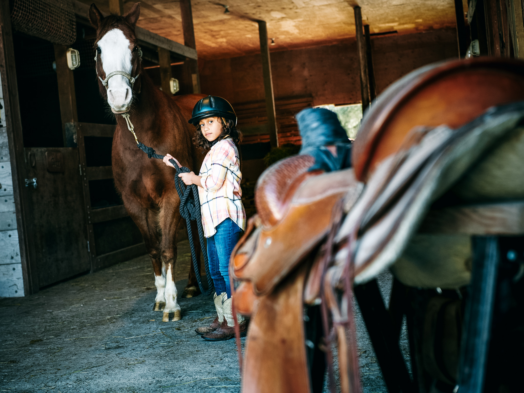 39831_Day_02_Shot_05_Barn_Horse_1_116