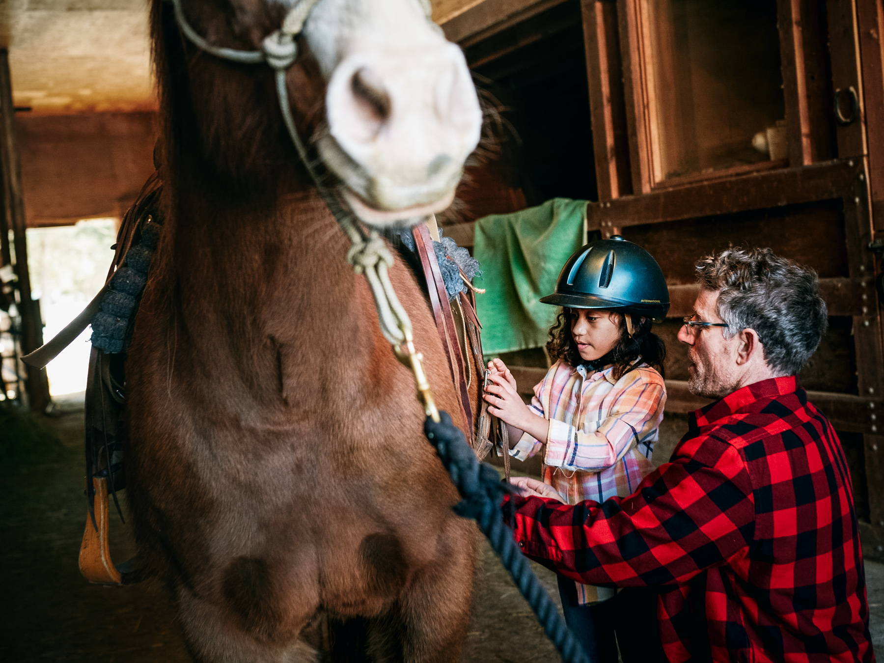 39831_Day_02_Shot_05_Barn_Horse_1_292